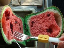 제주 빵지순례 2탄