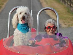 SNS 팔로워 50만 명! 90세 할머니의 인기 비결은?