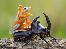 경이로운 자연의 모습을 담은 사진이 실은 연출과 조작의 산물이라면?