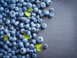 블루베리가 학습<strong>능력</strong>, 인지<strong>능력</strong> 높인다