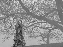 ‘색깔 없음’의 잠재력, 쩌는 흑백 영상 모음