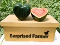 비싸도 팔리는 일본의 하트무늬 과일