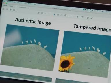 어도비는 어떤 사진이 합성인지 알고 있다