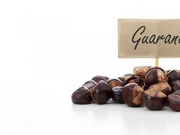 아마존의 천연 <strong>스태미나</strong>제, 과라나가 뭐죠?