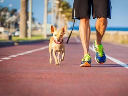 바짝 다가온 무더위, <strong>반려견</strong> 열사병 조심하세요
