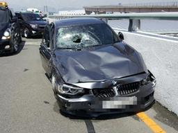“삼촌 위독…가해자와 합의 없다” 김해공항 피해자 친조카 눈물
