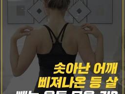 등&겨드랑이 운동 모음.ZIP