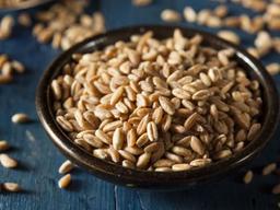 왜 몰랐지? 쫀득한 고단백 <strong>슈퍼곡물</strong> ‘파로’