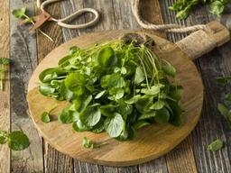 칭송받는 ‘케일’ 누른 <strong>최고의</strong> <strong>채소</strong>는?