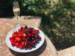 어떤 <strong>체리</strong>가 맛있는 <strong>체리</strong>일까?