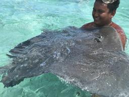 시시각각 바다의 밀당…빨갛게 타는 가슴…어느새 사랑에 빠지다