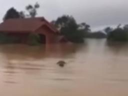 "3천 명 구조 기다려"...'<strong>댐 붕괴</strong>' 현재 <strong>라오스</strong> 상황