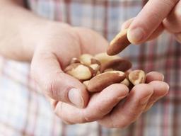 ‘<strong>양고기</strong>ㆍ아보카도ㆍ브라질너트…’ FTA 발효 수입급증한 농축산물은?