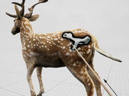 네안데르탈인이 생각보다 머리가 좋았다고?