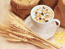 ‘몸에 좋은’ 음식은 어떻게 우리를 병들게 하는가?