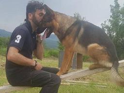 지진 때 사람살린 '영웅 구조견' 독살에 이탈리아 시끌