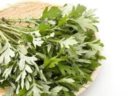 ‘<strong>여성</strong> <strong>건강</strong>의 핵심’ 자궁 <strong>건강</strong>을 돕은 음식들…