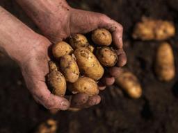 아픈 지구에서는 건강하게 먹을 수 없다