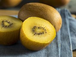 ‘안은 추워요’ 냉방병 이기는데 좋은 4가지 식품