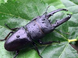 ‘5천억 원이 꿈틀’ 블루오션 ○○산업