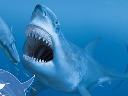 영화로 부활한 거대 상어 '<strong>메갈로돈</strong>'… 무는 힘, 공룡의 6배