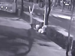 길거리 강제추행범, <strong>대리</strong>기사가 잡았다