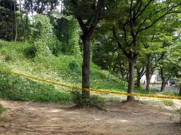 <strong>서울대공원</strong> <strong>토막시신</strong> 오늘 부검…10일전쯤 살해된듯