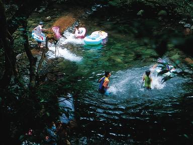 제주의 여름 Color of “Stream” – Reversal Appeal