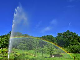 꿈의 숲 ‘공원 사진사’가 사진으로 꾼 꿈