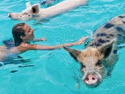 미국인이 사랑한 '<strong>바하마</strong>'