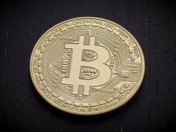 털어 넣었다가 다 털렸다