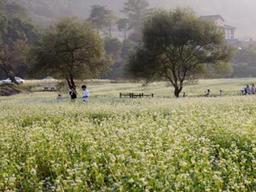 어느새 가을...'<strong>메밀꽃</strong> 필 무렵'의 봉평 여행