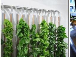 <strong>아시아</strong>의 가장 큰 채식 시장, 대만