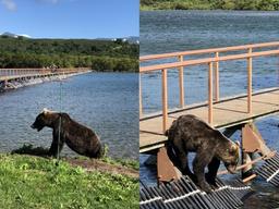 <strong>WWF</strong>-K2 ‘캄차카 원정대’, 와일드 루트 완주