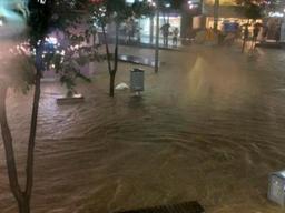 '예쁜 빗물받이' 신촌 물바다 만들었다