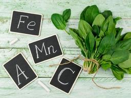 우리 몸엔 망간도 필요하다?