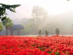 놓치면 아쉬울 9월 특산물 축제 7선