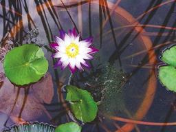 경치 좋아 <strong>가을</strong> 마중하기 안성맞춤 <strong>코스</strong>