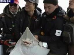 '도시어부' 이경규, 알래스카 대<strong>홍어</strong> 잡았다 "20kg 육박" [TV캡처]