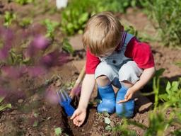 美 홀푸드마켓, 어린이 먹거리 혁신 나섰다