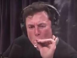 방송서 마리화나 피우고 술 마시고… 일론 머스크 기행에 <strong>테슬라</strong> 휘청