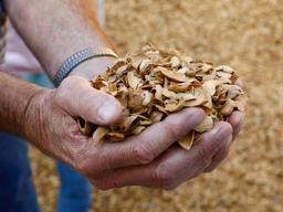 “껍질 하나까지…아몬드는 버릴 게 없어요”-아몬드 세계 최대 생산지를 다녀오다