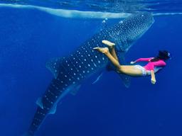 여름에만? 가을에도! 철없는 <strong>바캉스</strong>