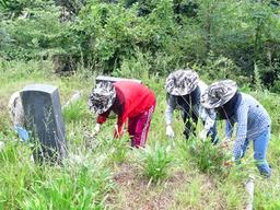 낫 든 여자, 뒤집개 든 남자…①벌초 편