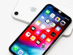 10월 말 한국 출시 유력한 <strong>아이폰</strong>XR 기다릴 만 한가