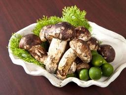 지금이 <strong>제철</strong>인 ‘송이<strong>버섯</strong>’, 솥밥으로 먹으려면?