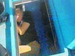 육지行 <strong>제주</strong> 활어차 열었더니, 생선 대신 불법체류자가…