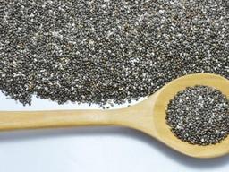 고등어 말고도 많다…오메가-3가 풍부한 식품들