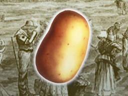 '생수도 꽉꽉' 아일랜드 인심의 가슴 아픈 역사