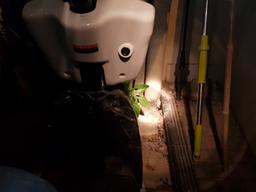 때 아닌 쥐떼 습격에 여의도 <strong>한강</strong>변 아파트 '몸살'